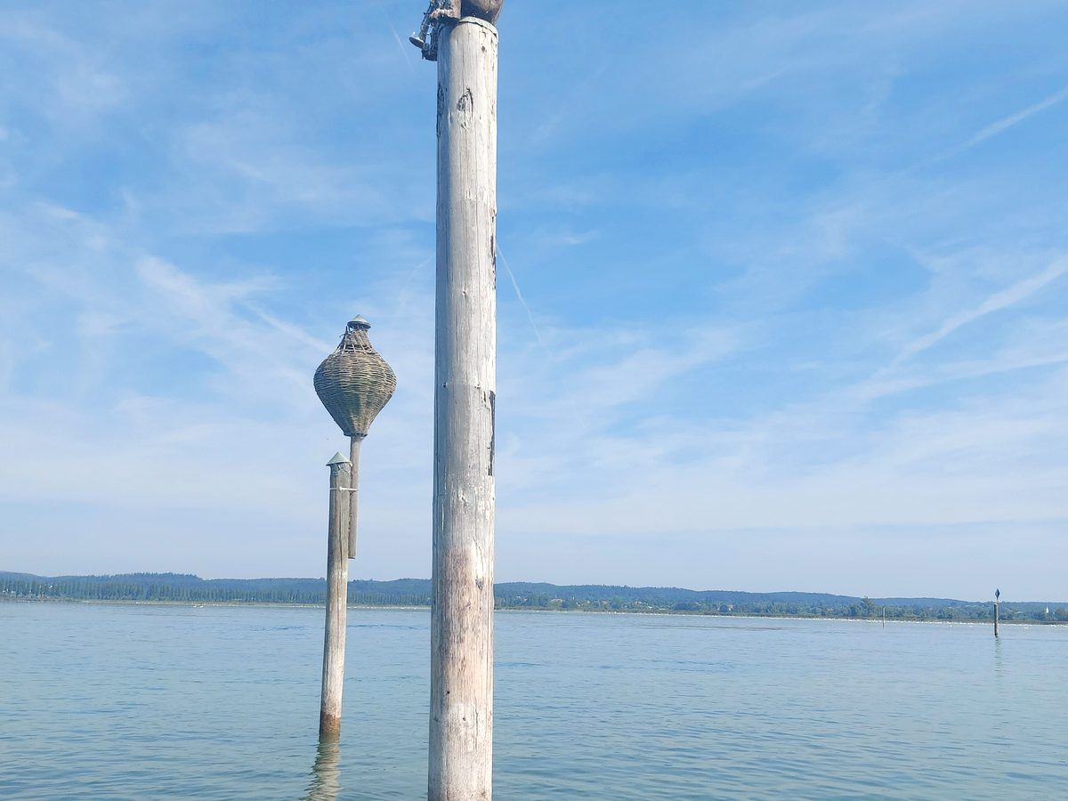 Alter Holzpfahl im flachen Wasser des Untersees