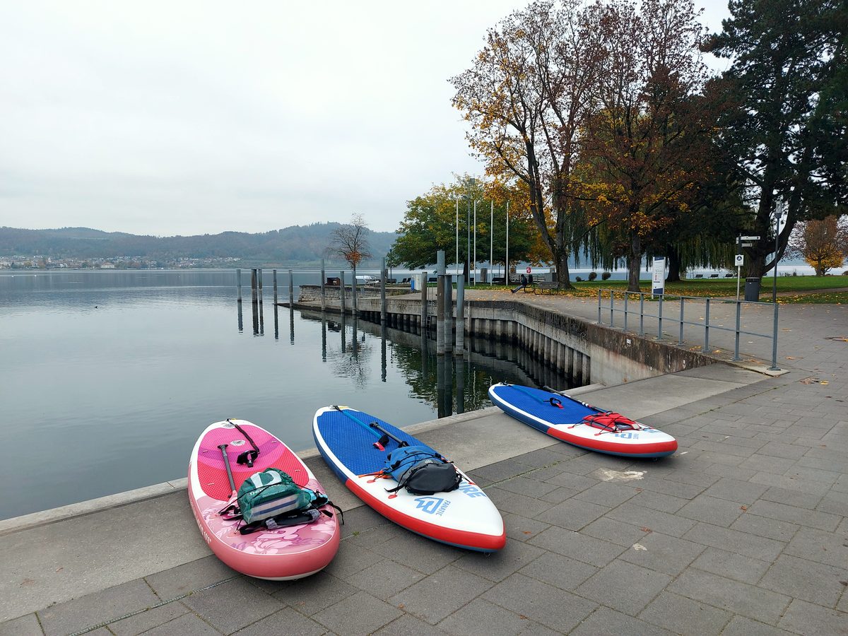Herbstlich verfärbtes Steilufer des Bodanrücks vom Wasser aus