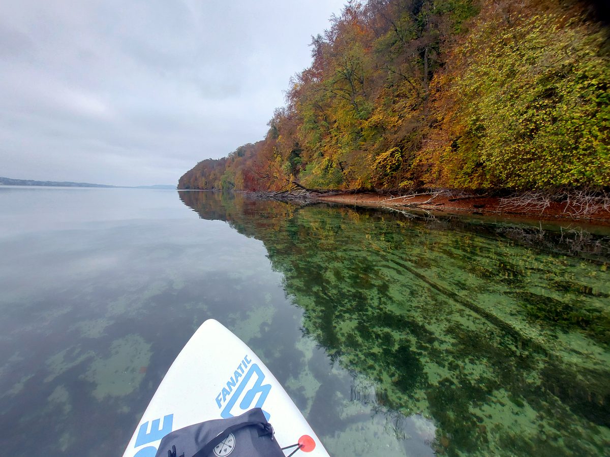 Spiegelglatter See vor bewaldetem Ufer im Herbst