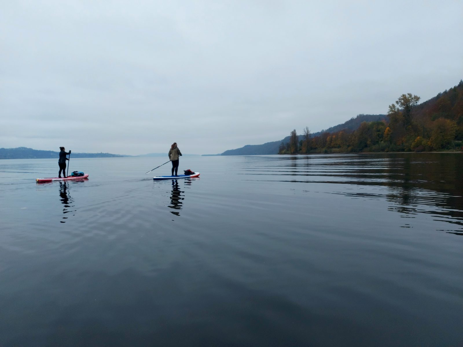 Zwei Paddler auf nebligem Wasser vor der bewaldeten Steilküste des Bodanrücks
