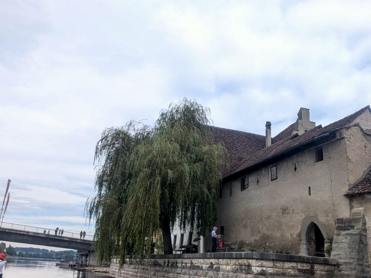 Historisches Uferhaus mit Weide am Hochrhein